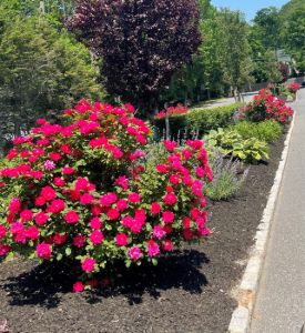 Landscaping Services Image 1