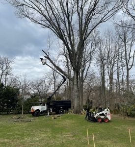 Landscaping Services Image 1